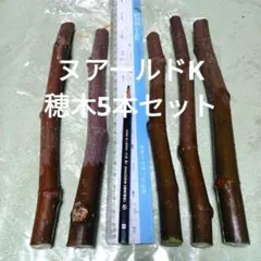 専用出品　イチジク穗木6本セット 2026年最新】いちじく穂木苗木セットの人気アイテム - メルカリ