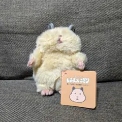 まるもふチンチライブ きなこ - メルカリ