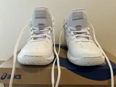 ASICS の GELHOOP V17（ゲルフープ V17）