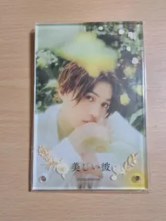 美しい彼 八木勇征 清居奏 アクリルシャドーボックス