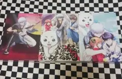 劇場版 銀魂 完全生産限定版 DVD 3点セット