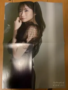 Item thumbnail for item 6803c967-dbeb-43cb-88d1-e27dff6dbbb6