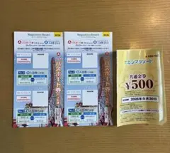 ナガシマスパーランド パスポート券 2枚 500円金券付きのサムネイル