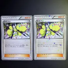 カミツレ シャイニーコレクション　ポケモンカード　2枚セット