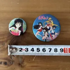 【4/2まで出品延長】セーラームーン バッジセット