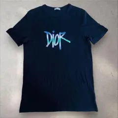 【限定コラボ】ディオール×ステューシー 刺繍ロゴ 即完売 希少 Tシャツ