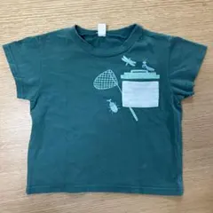 アプレレクール　半袖Tシャツ　緑　虫とり　カブトムシ　カマキリ　100
