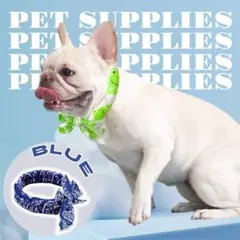 Item thumbnail for item ced1c3e3-e9cb-4d90-962b-f4729b66bf44