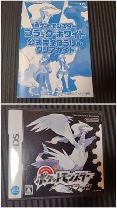 動作確認済 DS ポケットモンスター ブラック ＋ 公式攻略本クリアガイドセット