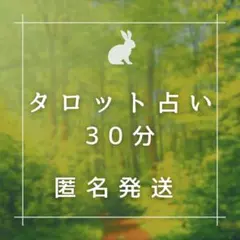 タロット占い　30分 有形商品　電話占い　占い放題　ご新規様10分サービス
