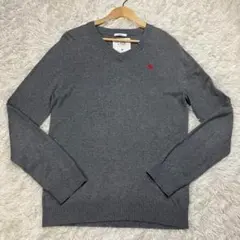 【カシミヤ混】アバクロンビー & フィッチ セーター ニット Vネック グレー
