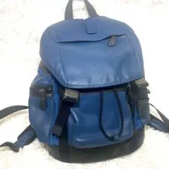 COACH コーチ F72018 リュック・デイパック パンチングレザー