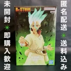 Dr.STONE FIGURE 造形の科学 SPECIAL 石神千空 A
