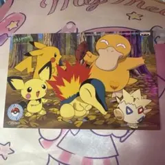 2026年最新】ポケモンメタルコインパスフォルダーの人気アイテム