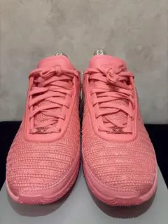 レブロン バスケットボール