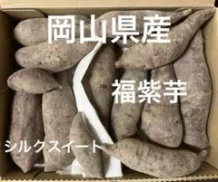 岡山県産　産地直送　さつまいも　シルクスイート　福紫芋