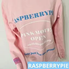 【RASPBERRYPYTH】ベビーピンク スウェットラズベリーパイ 春 韓国