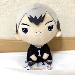 [新品タグ付き] ハイキュー もちぴこぬいぐるみ 第10弾 北信介