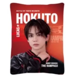 H*E様 THE RAMPAGE 吉野北人 クッション BOT RE:BIRTH H*E様 THE RAMPAGE 吉野北人 クッション BOT RE:BIRTH - メルカリ