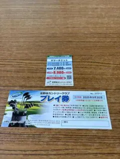 宜野座カントリークラブプレイ券 2025年最新】宜野座カントリークラブの人気アイテム - メルカリ