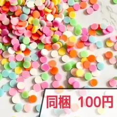 【No.013】樹脂粘土フレーク カラフルラウンド 約10g