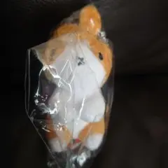 サタケシュンスケ　ぬいぐるみコレクション　うさぎ