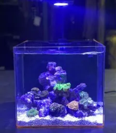 NEW AQUA FLARE UVA MINI 9 RGB（小型水槽用）スタンド - メルカリ