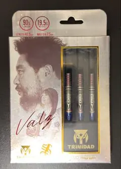 ヴァルメス エスダーツ限定モデル 2BA 中古バレル サングリアル