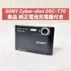 Item thumbnail for item 38e346af-6896-4982-a5fa-2757a3951c33