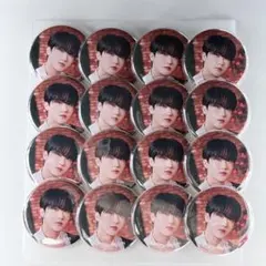 チャンビン 缶バッジ