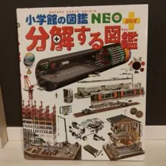 Item thumbnail for item 89ff7284-1baa-40e8-9128-0eef8956edfd