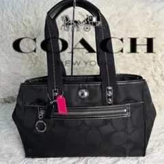 【極美品】コーチ シグネチャー トートバッグ ブラック