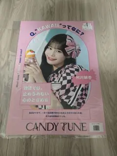 Item thumbnail for item c046bc53-9e05-4cb1-8ae7-5c25933dc2e5