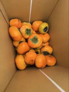 特別セール】和歌山県産 柿 中谷早生 こだわりの柿ご家庭用 約3kg 即日