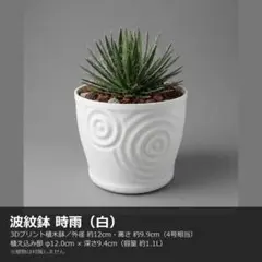 B415 3Dプリンター鉢 4号 内径12cm 波紋 時雨 白 植木鉢 作家鉢