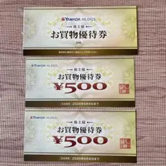 ヤマダ電機 YAMADA HLDGS. お買物優待券 6000円分