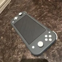 ニンテンドースイッチライト 本体