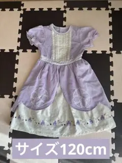 Disney ソフィア ドレス 120cmのサムネイル