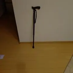 Item thumbnail for item 12a6133b-22a4-447d-bb27-20e80f13fcef