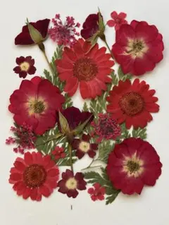 【再値下げ】未使用 竹口要 カンデレロ sheepキャンドル キャンドルホルダー ◇新品未使用 竹口要 カンデレロ sheep ソイキャンドル