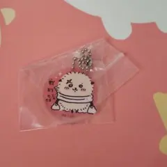 ラッコ キーホルダー