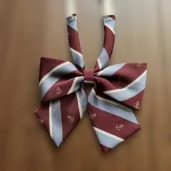 イーストボーイ バーガンディ（えんじ）✖️グレーブルーのストライプ柄 リボンタイ