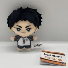 ハイキュー！！みにコレ！ miniぬいぐるみ2 赤葦京治