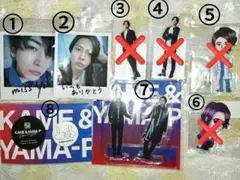 山P・亀と山Pグッズ15点