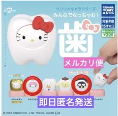 サンリオキャラクターズ みんなでなっちゃお！歯 2個セット