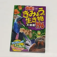 Item thumbnail for item a9ae5e4c-904a-4445-898b-74e015e88255