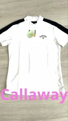 Item thumbnail for item 8a5cc0db-89f3-4ba1-9aad-7b7eb63c6701