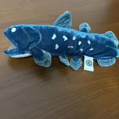 シーラカンス　ぬいぐるみ　水族館　　深海魚　カロラータ