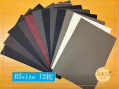 特価！お試しB級本革はぎれ　ミックス革　B5サイズ12枚　B-1