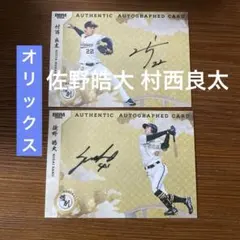 Item thumbnail for item b637bf3c-e3d1-4b97-8cdd-c27754a82f55